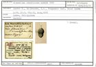 Karteikarte zum Holotyp von Glandulina ornatissima Karrer, 1878